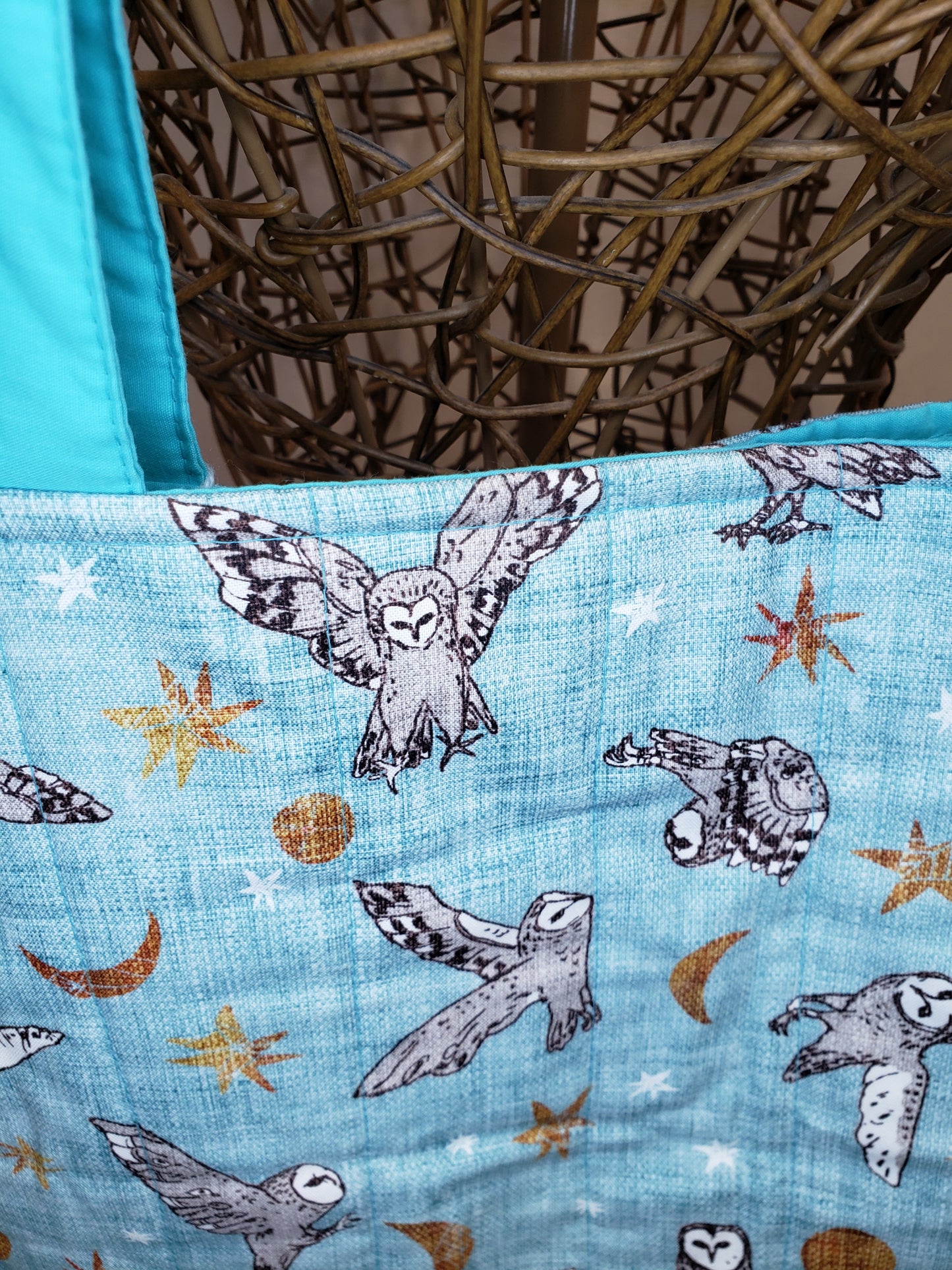 Tote Bag, Owl Tote Bag, Turquoise Tote bag, Turquoise project bag, Owl Project bag, Owl travel bag, Large travel bag, Large carry bag